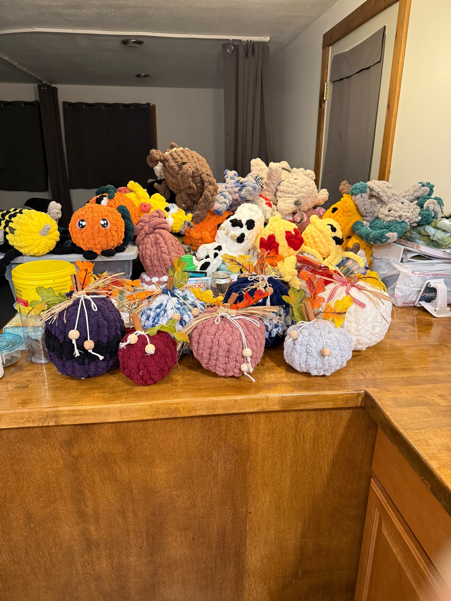 Past Project Portfolio