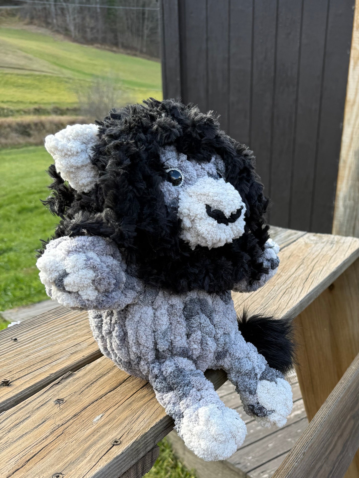 Black and White Lion