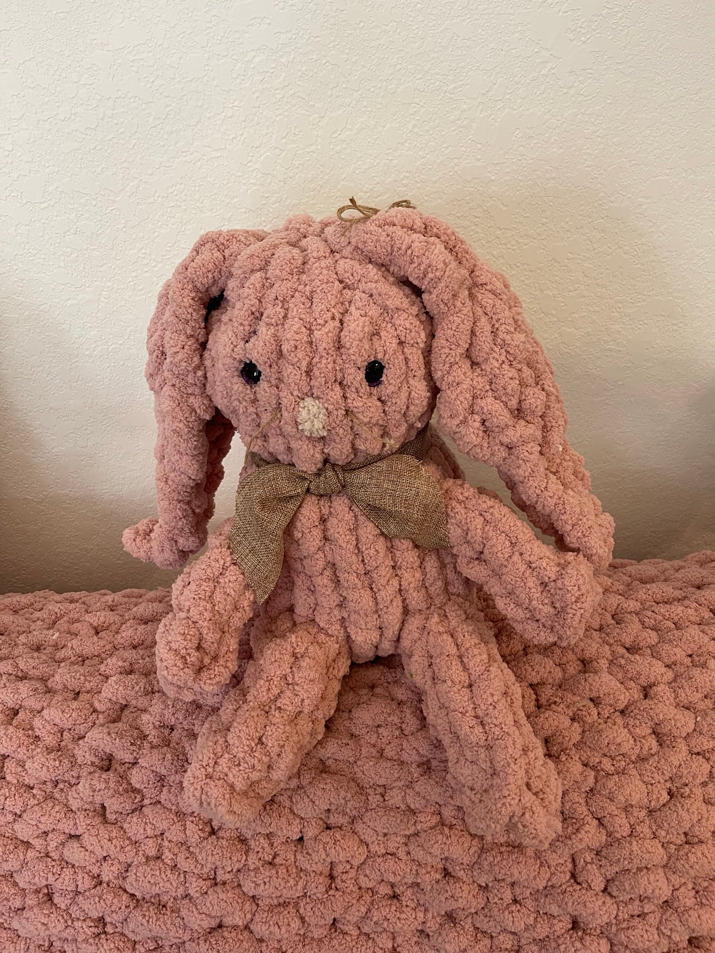 Past Project Portfolio