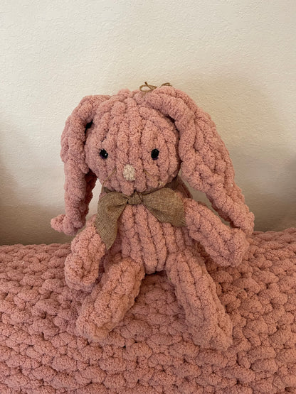 Past Project Portfolio