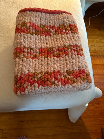 Past Project Portfolio