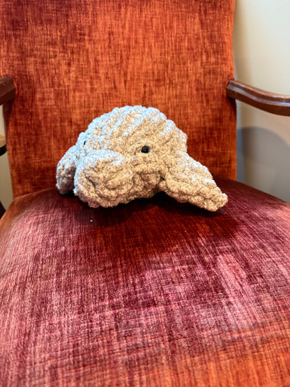 Past Project Portfolio