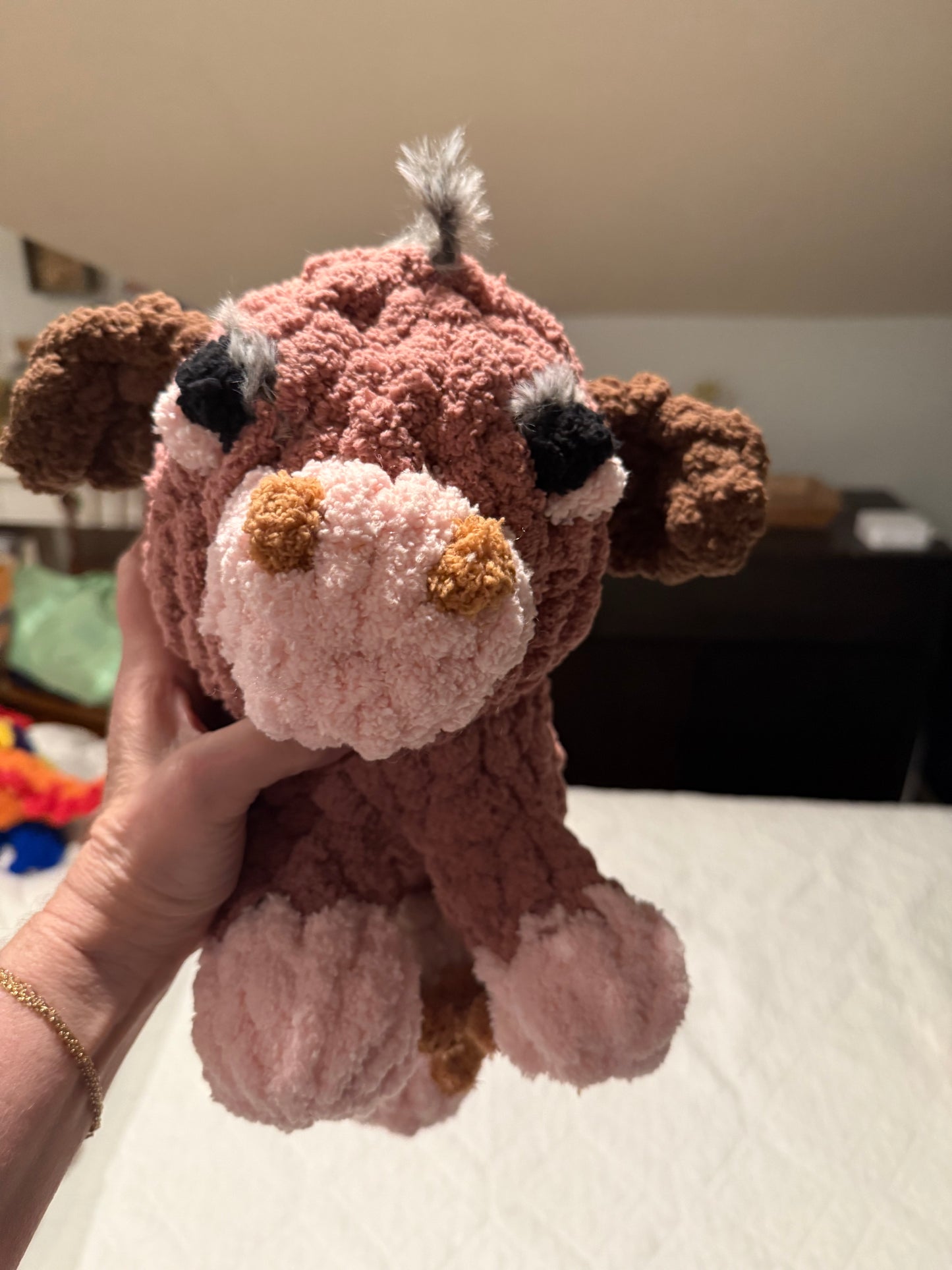 Past Project Portfolio