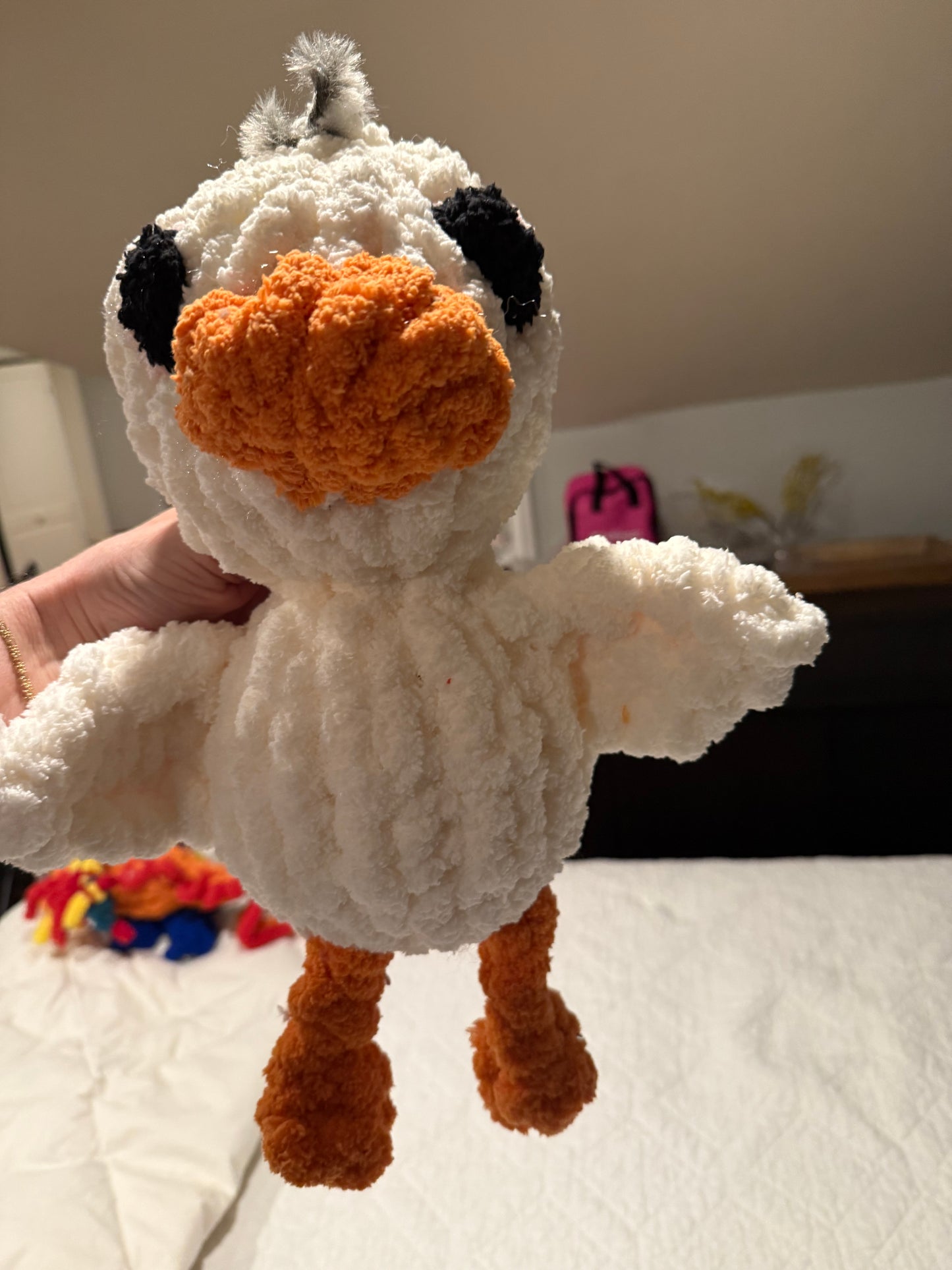 Past Project Portfolio