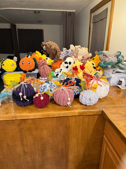 Past Project Portfolio