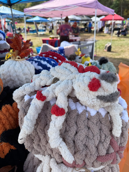 Past Project Portfolio