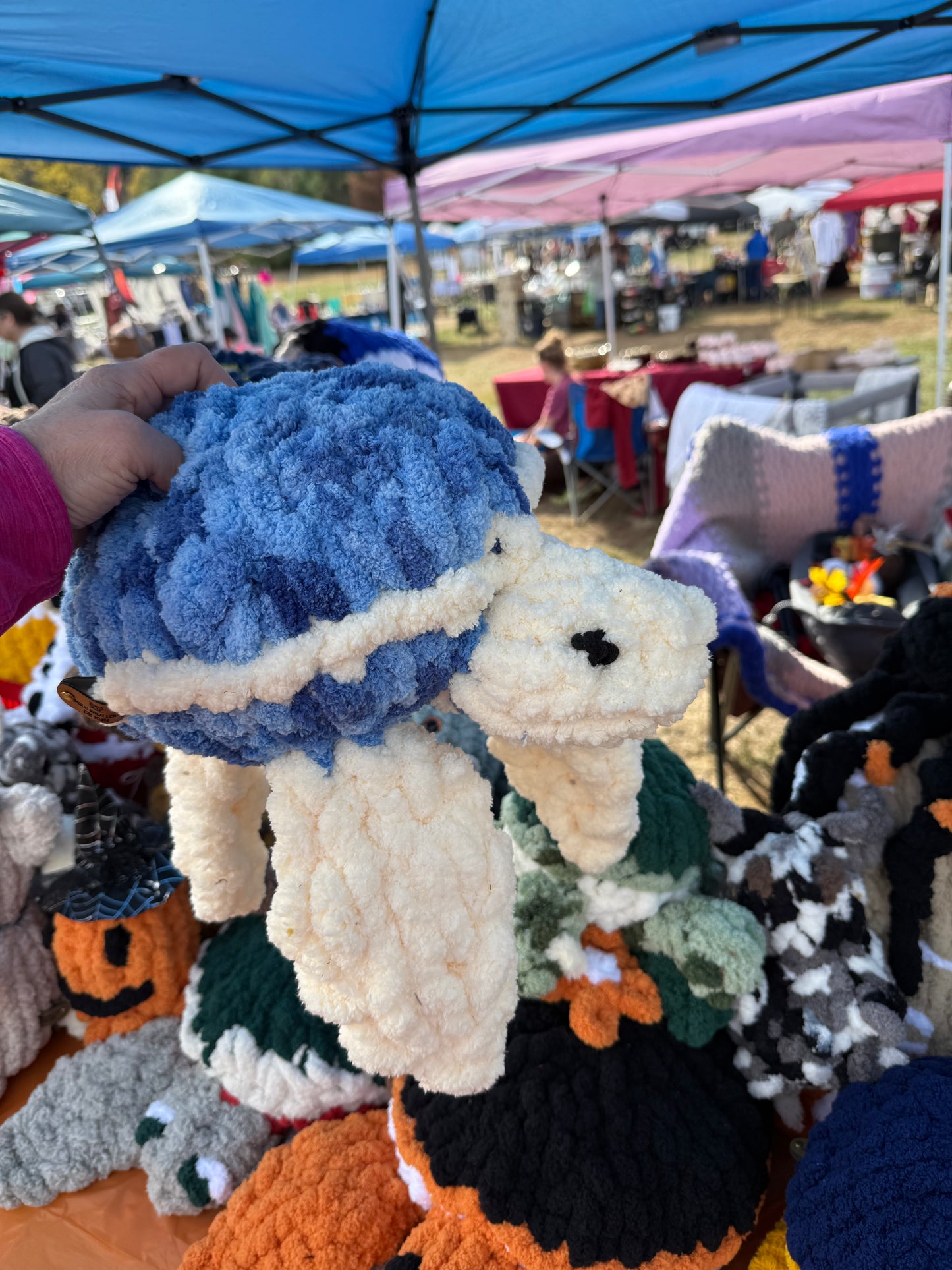 Past Project Portfolio