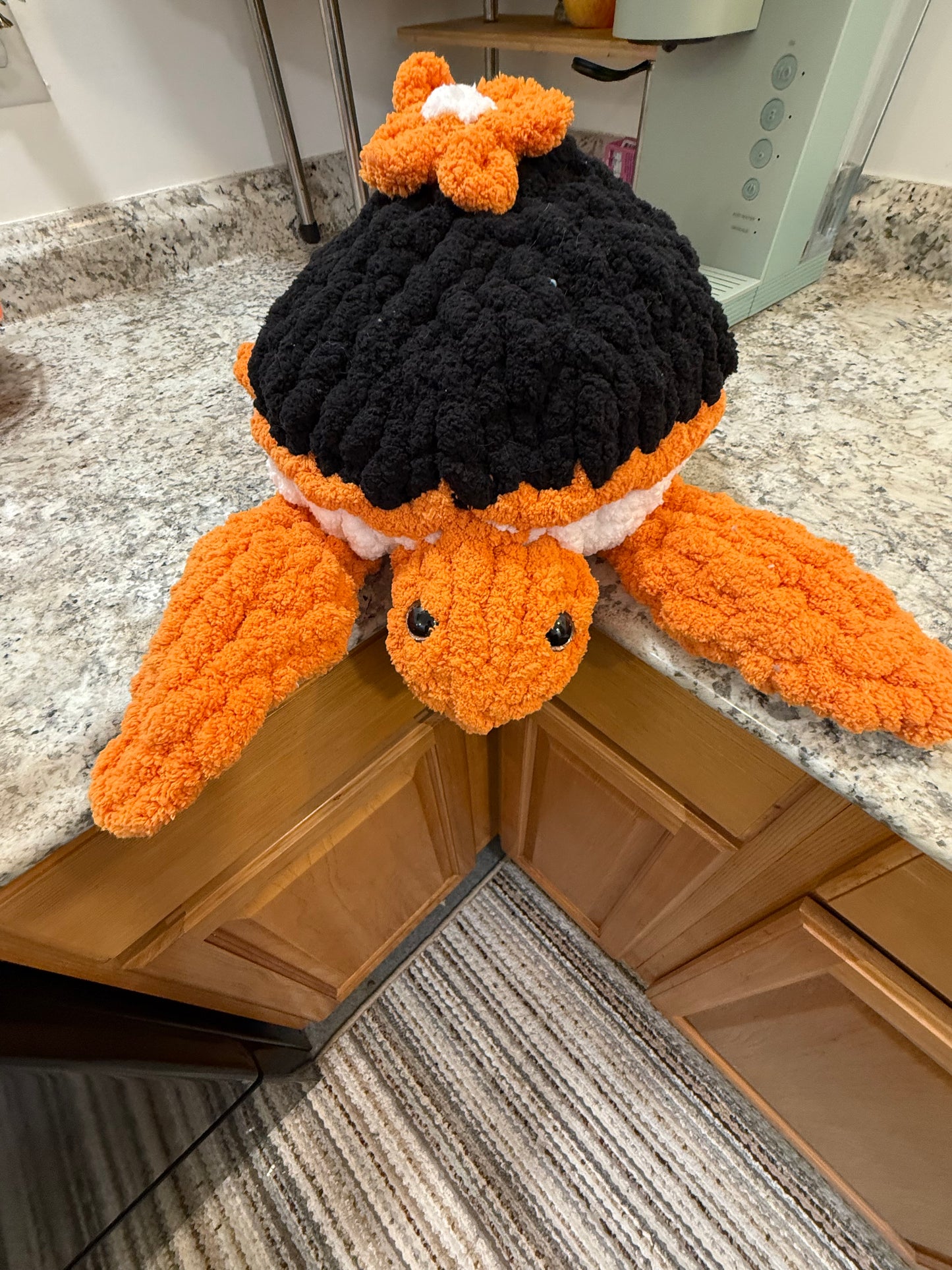 Orange and Black Turtle