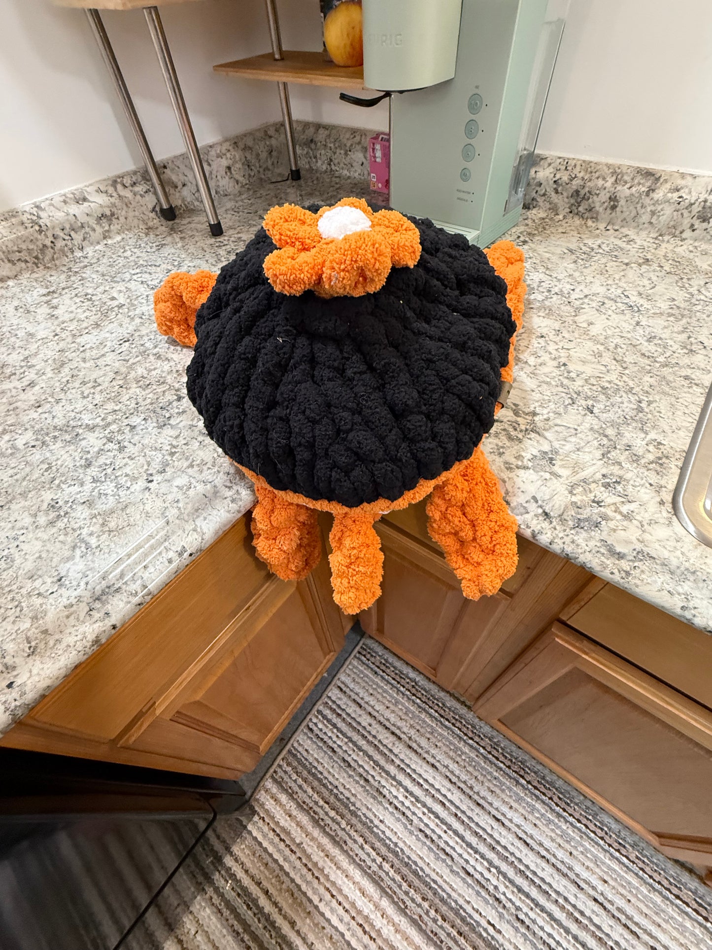 Orange and Black Turtle