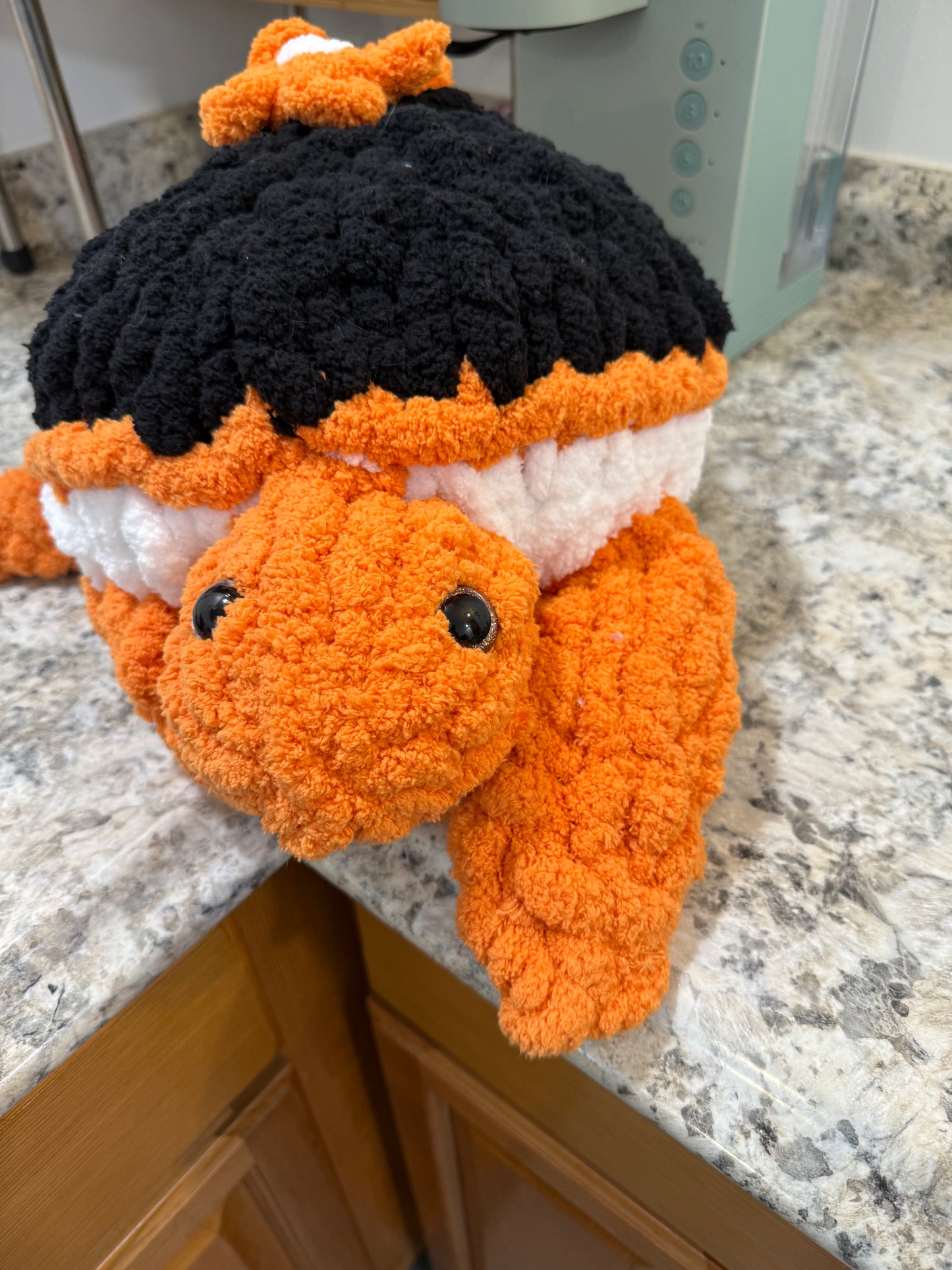 Orange and Black Turtle