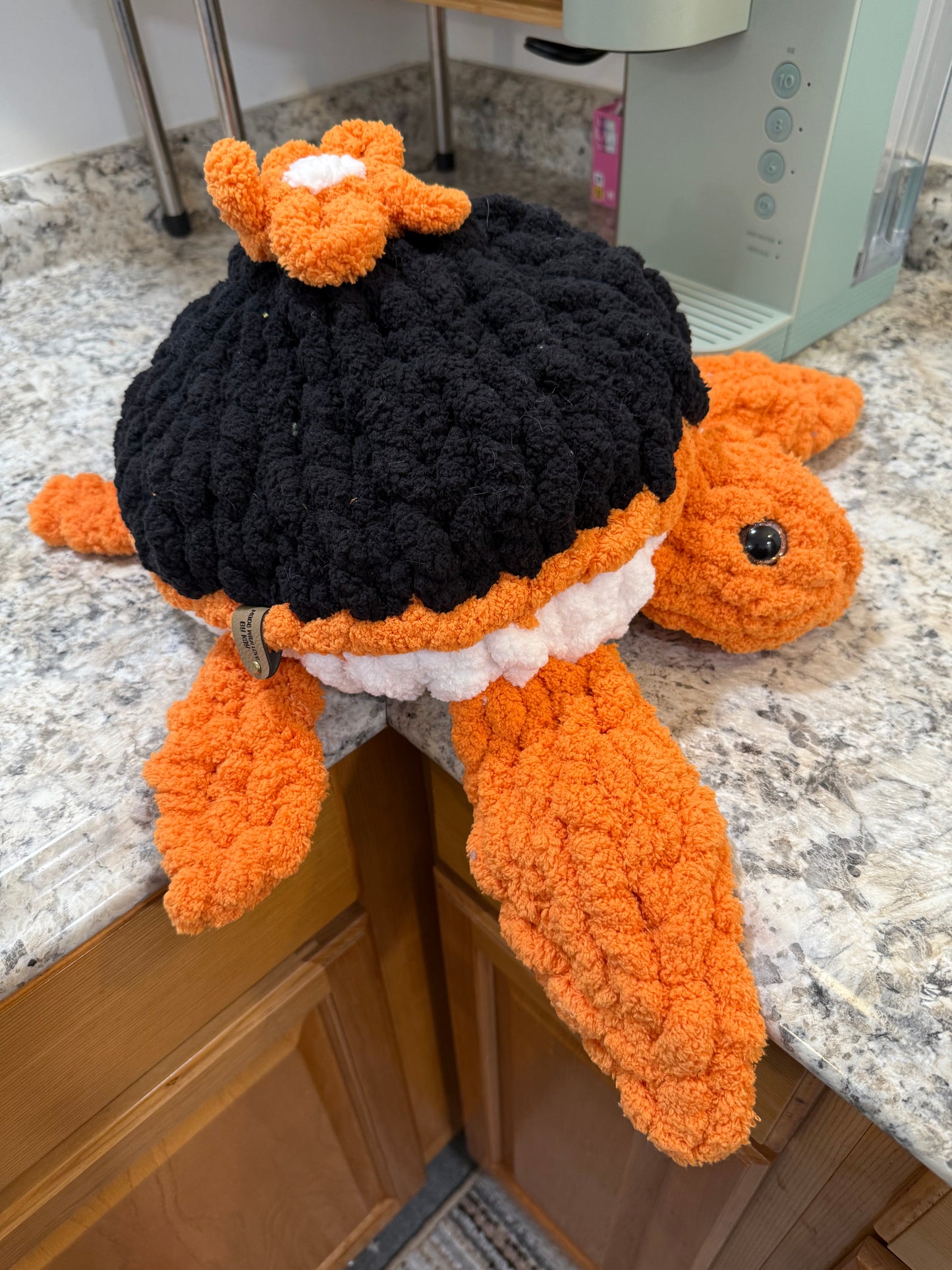 Orange and Black Turtle