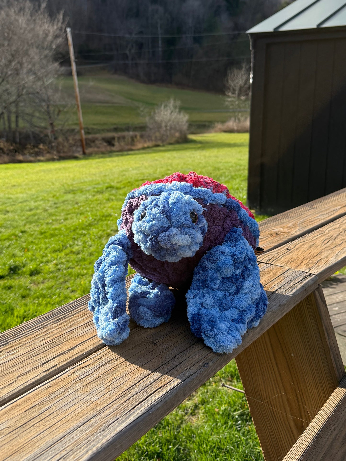 Purple Multicolor Turtle