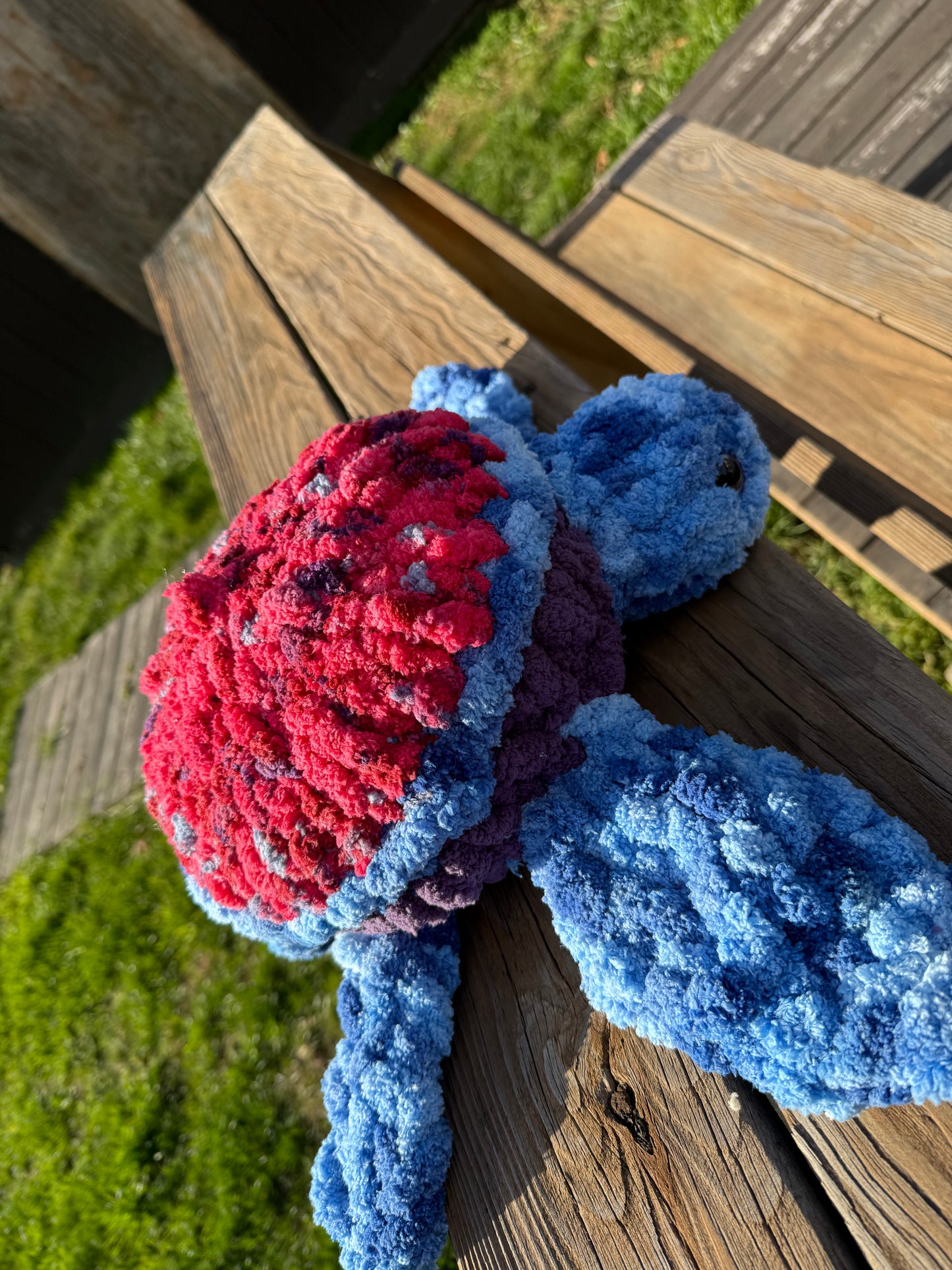 Purple Multicolor Turtle