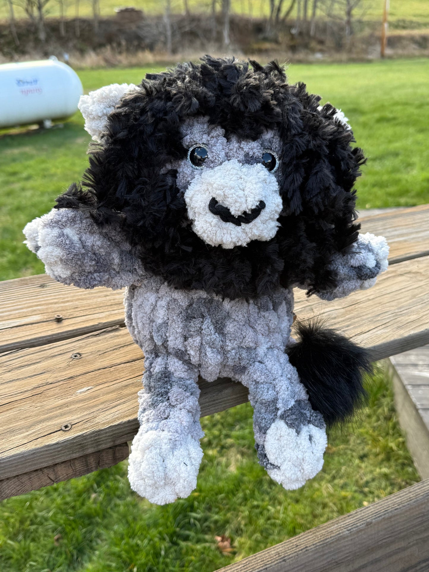 Black and White Lion