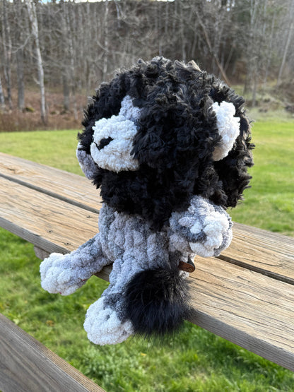 Black and White Lion