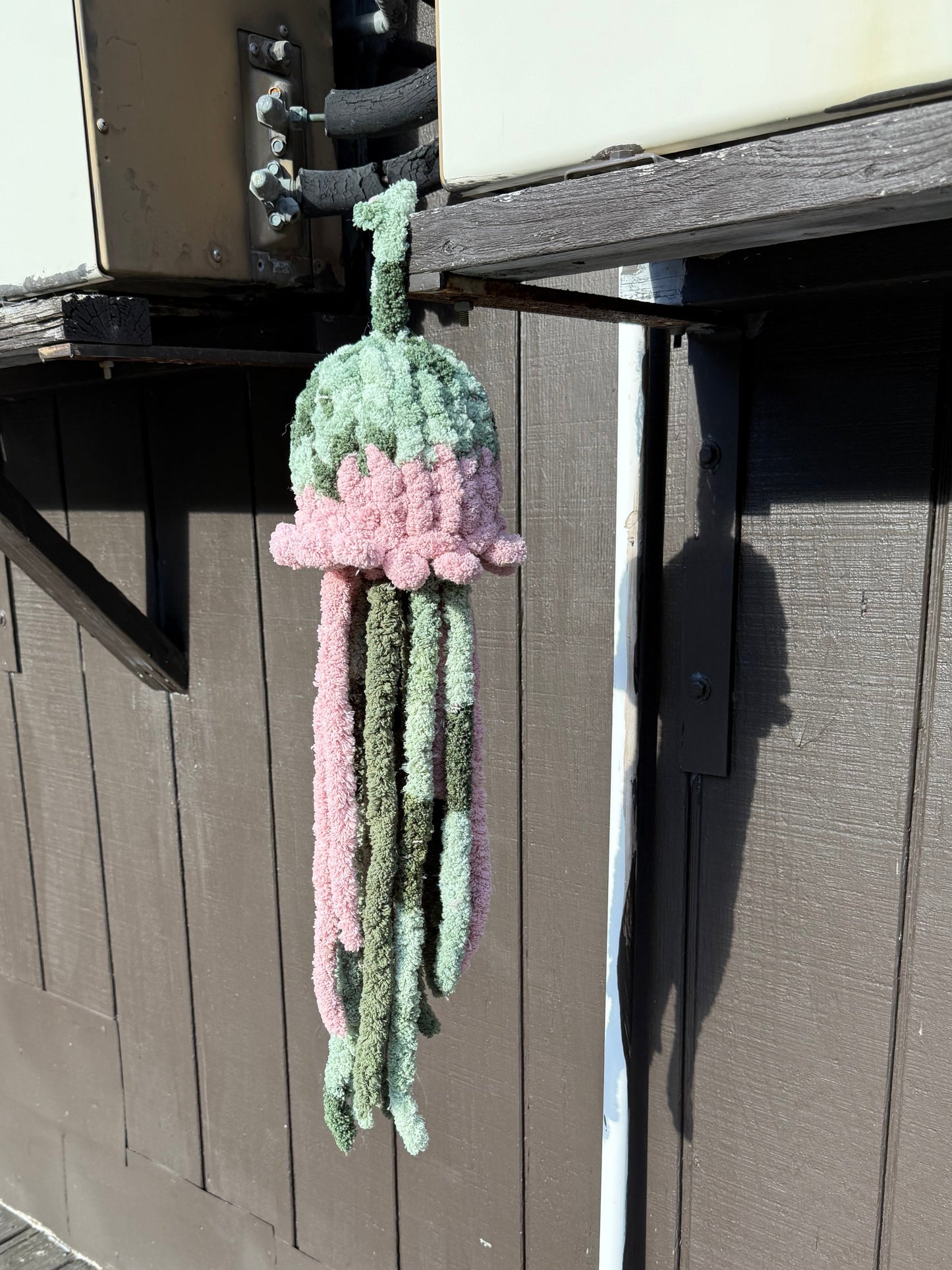 Multicolor Jellifish