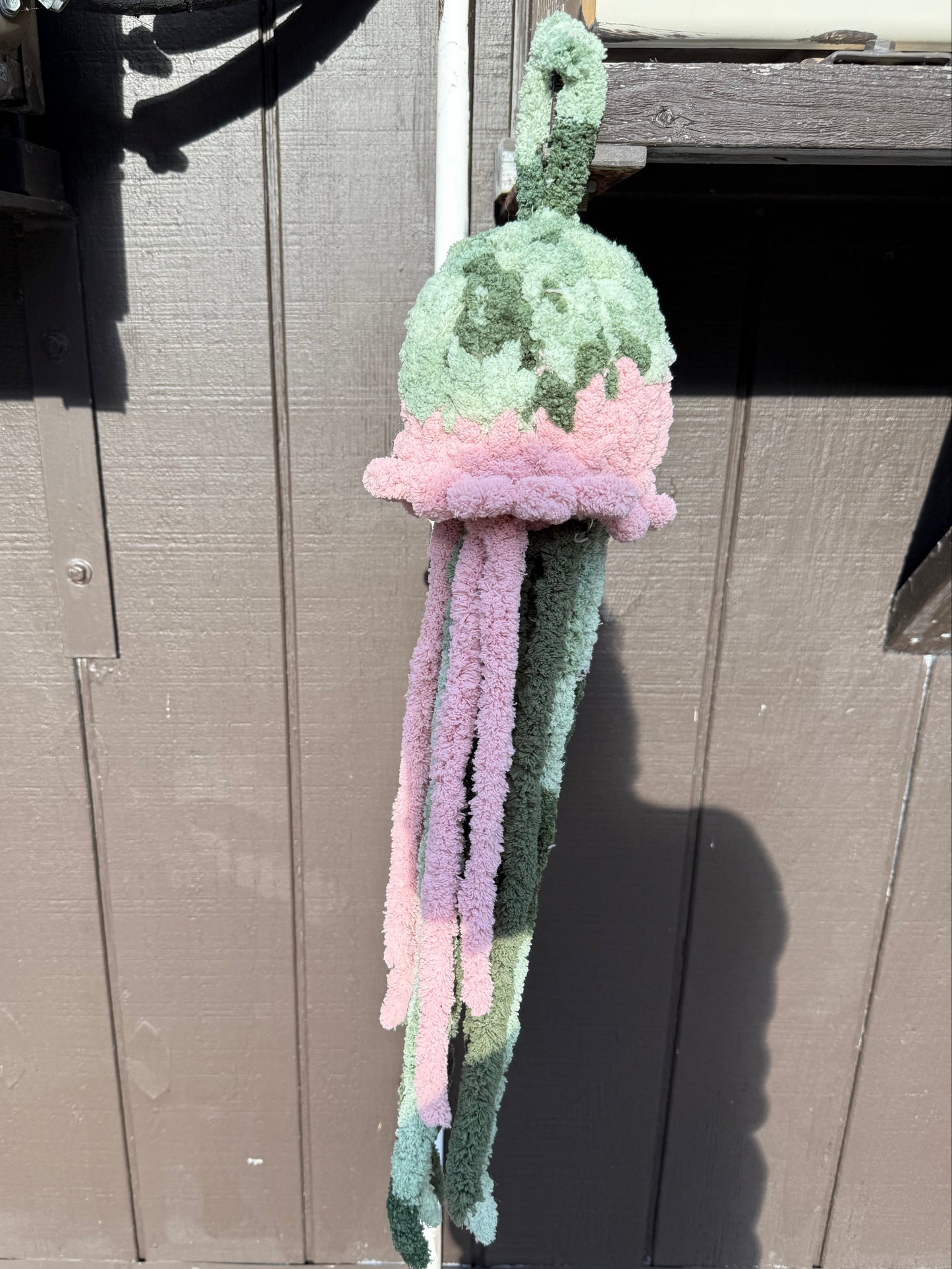 Multicolor Jellifish