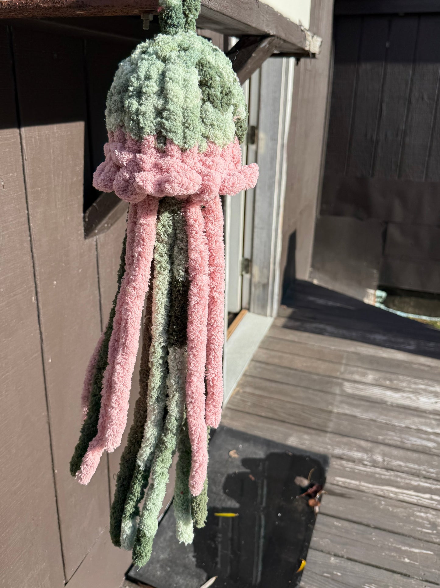 Multicolor Jellifish