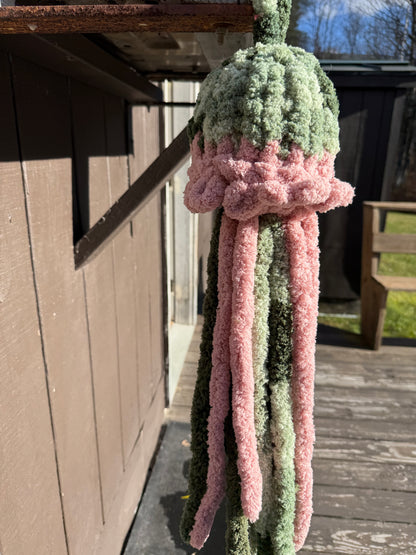 Multicolor Jellifish