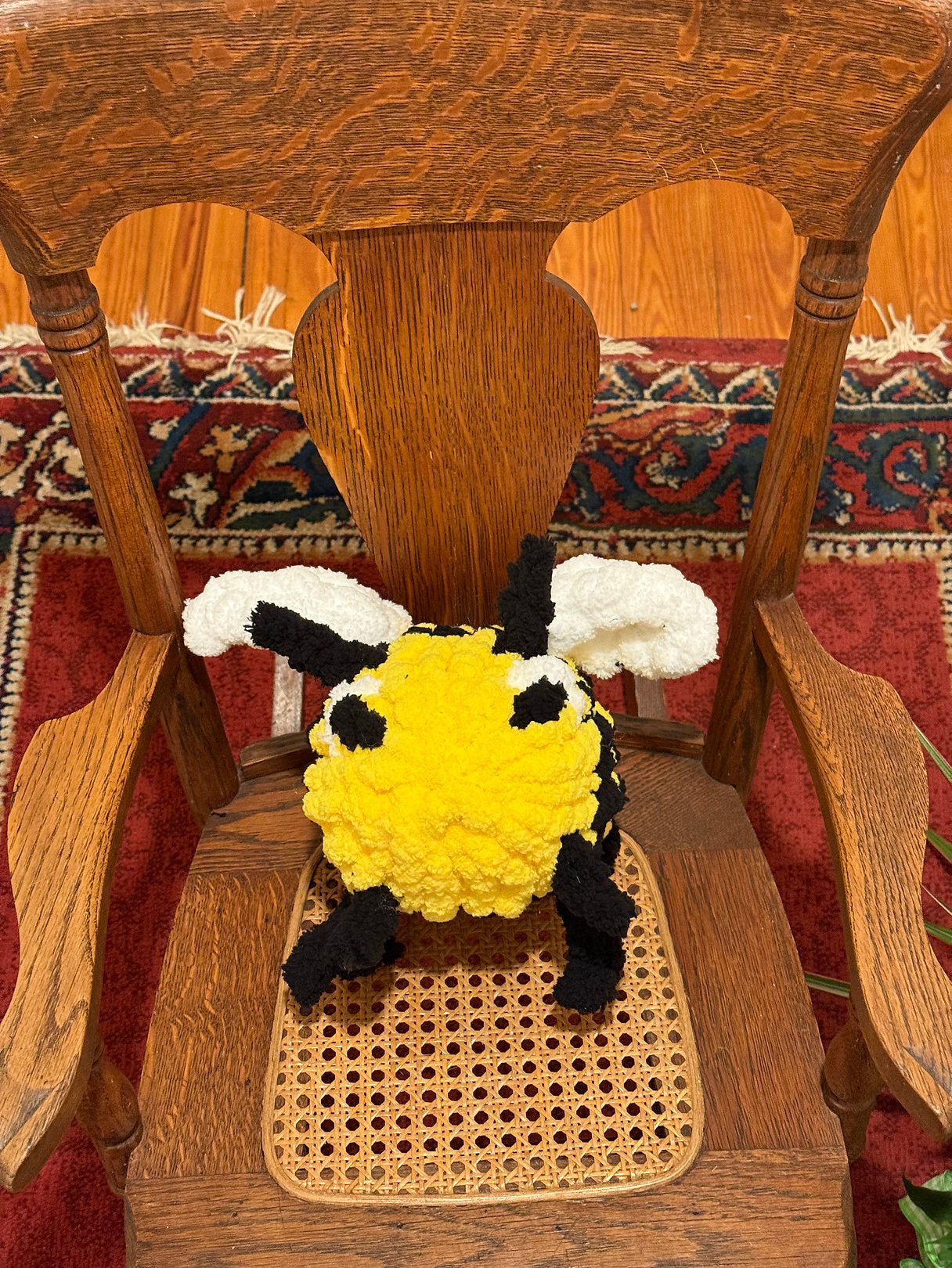 Past Project Portfolio