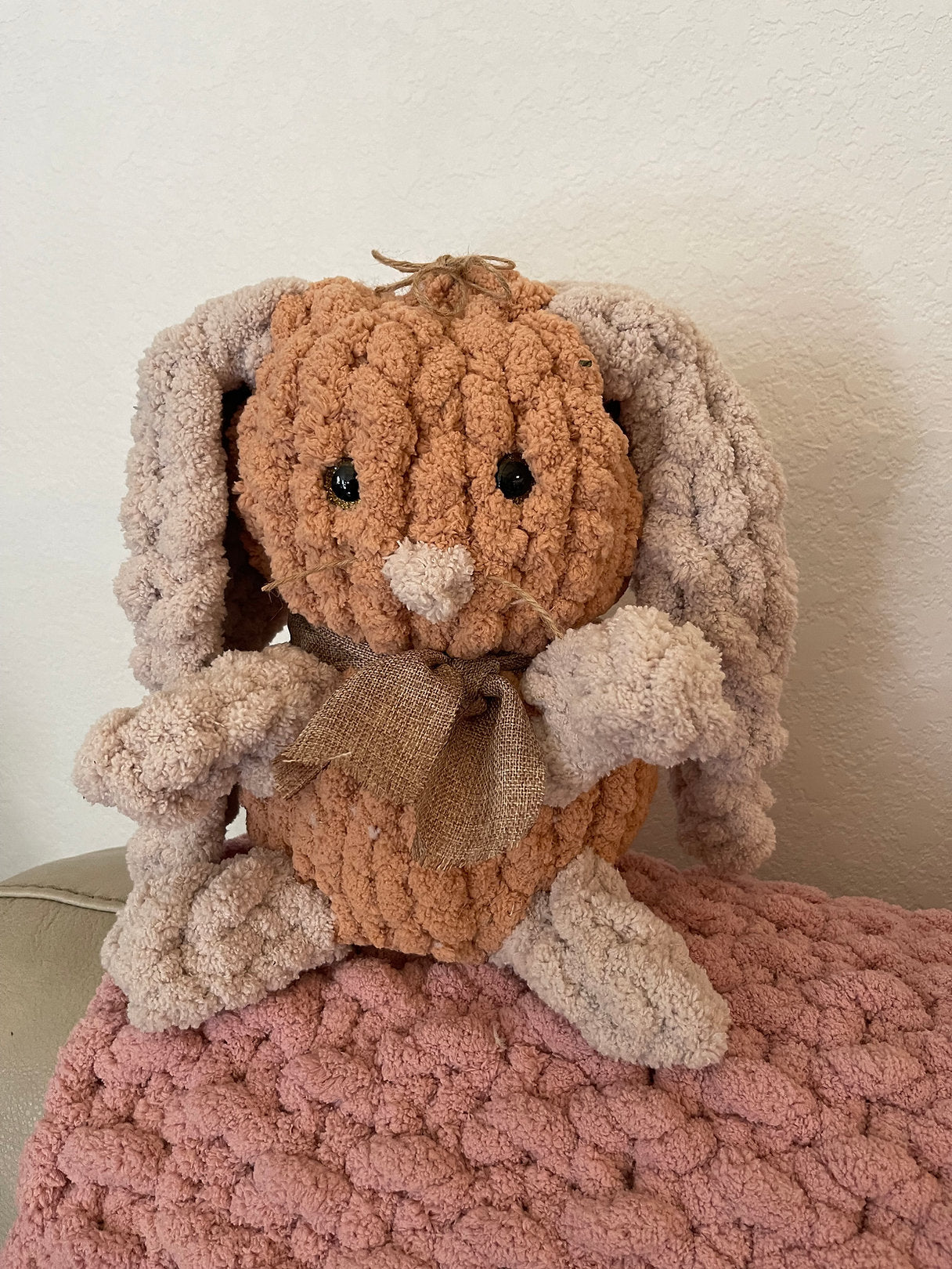 Past Project Portfolio