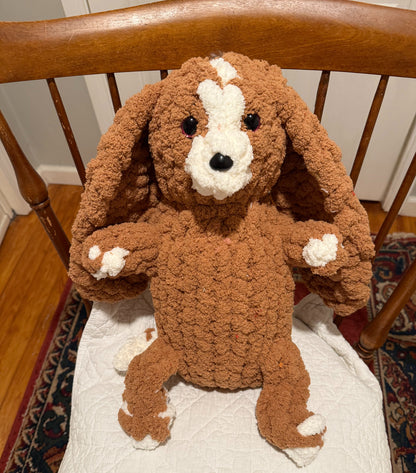 Past Project Portfolio