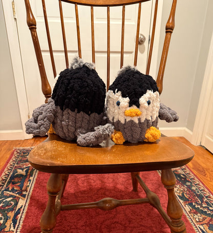 Past Project Portfolio