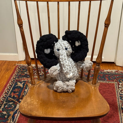 Past Project Portfolio