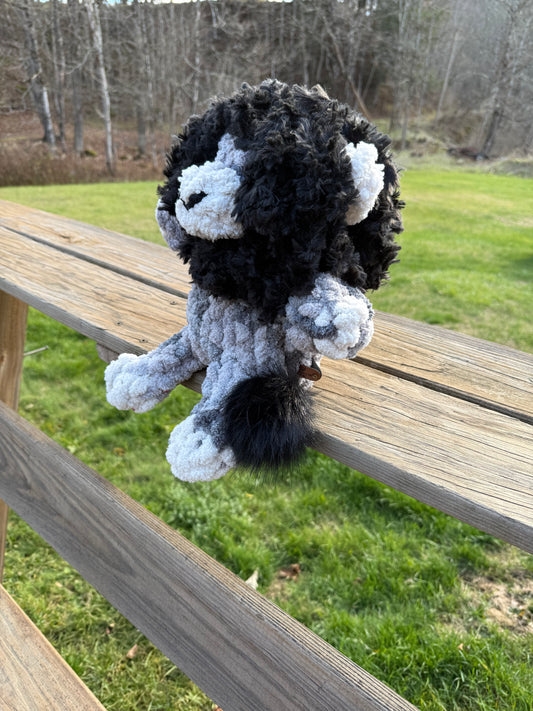 Black and White Lion