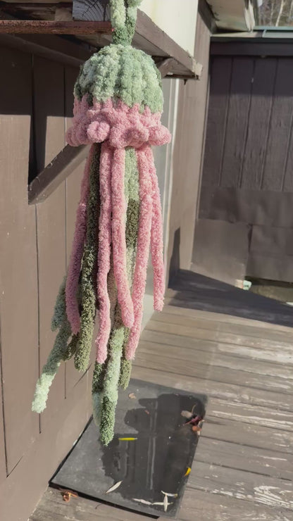 Multicolor Jellifish